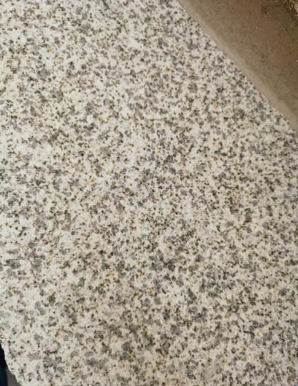 无锡 黄金麻中黄光面